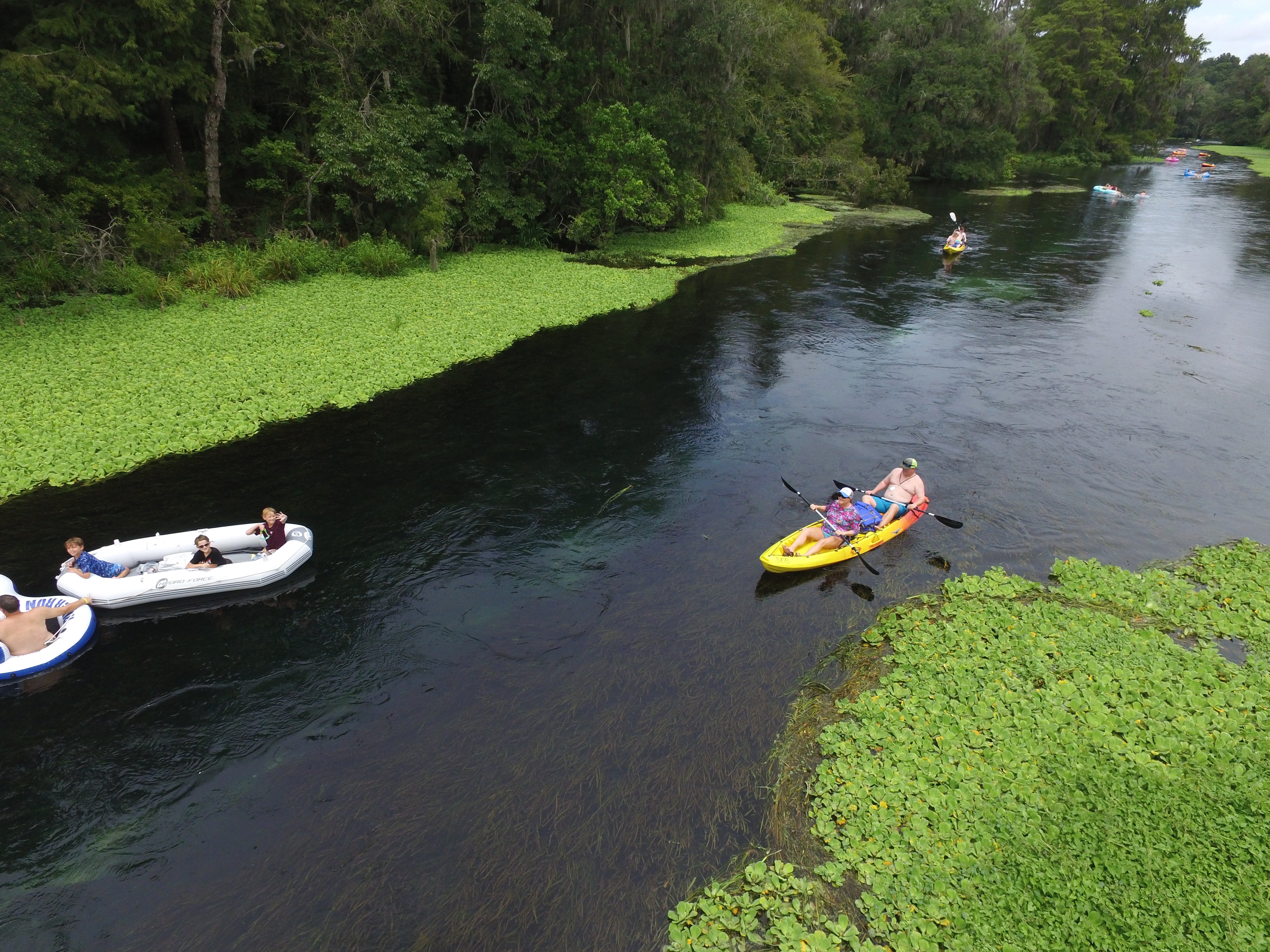 Ichetucknee Springs Kayakers