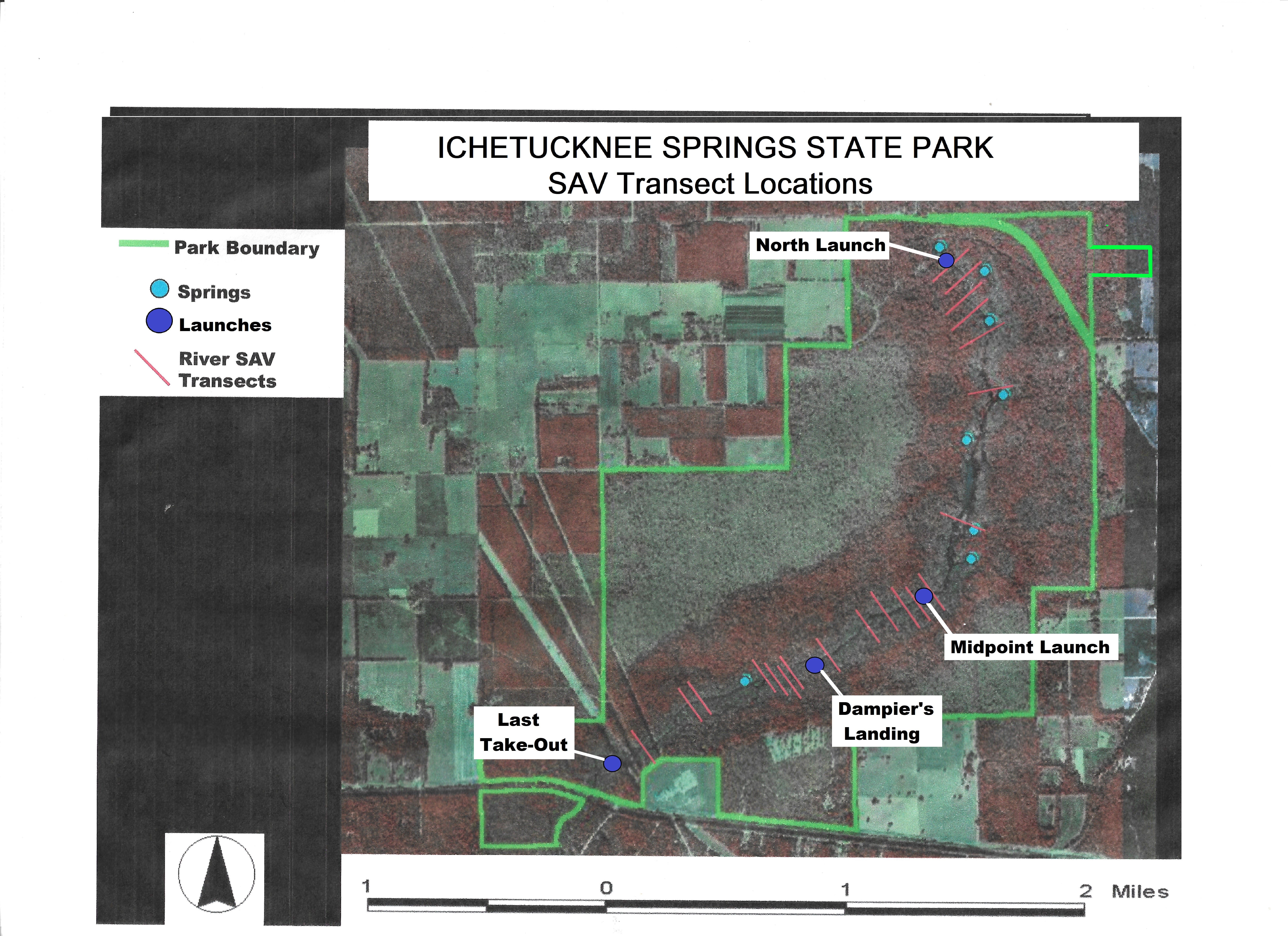 A map showing the transect locations of Ichetucknee’s long-term river SAV monitoring project