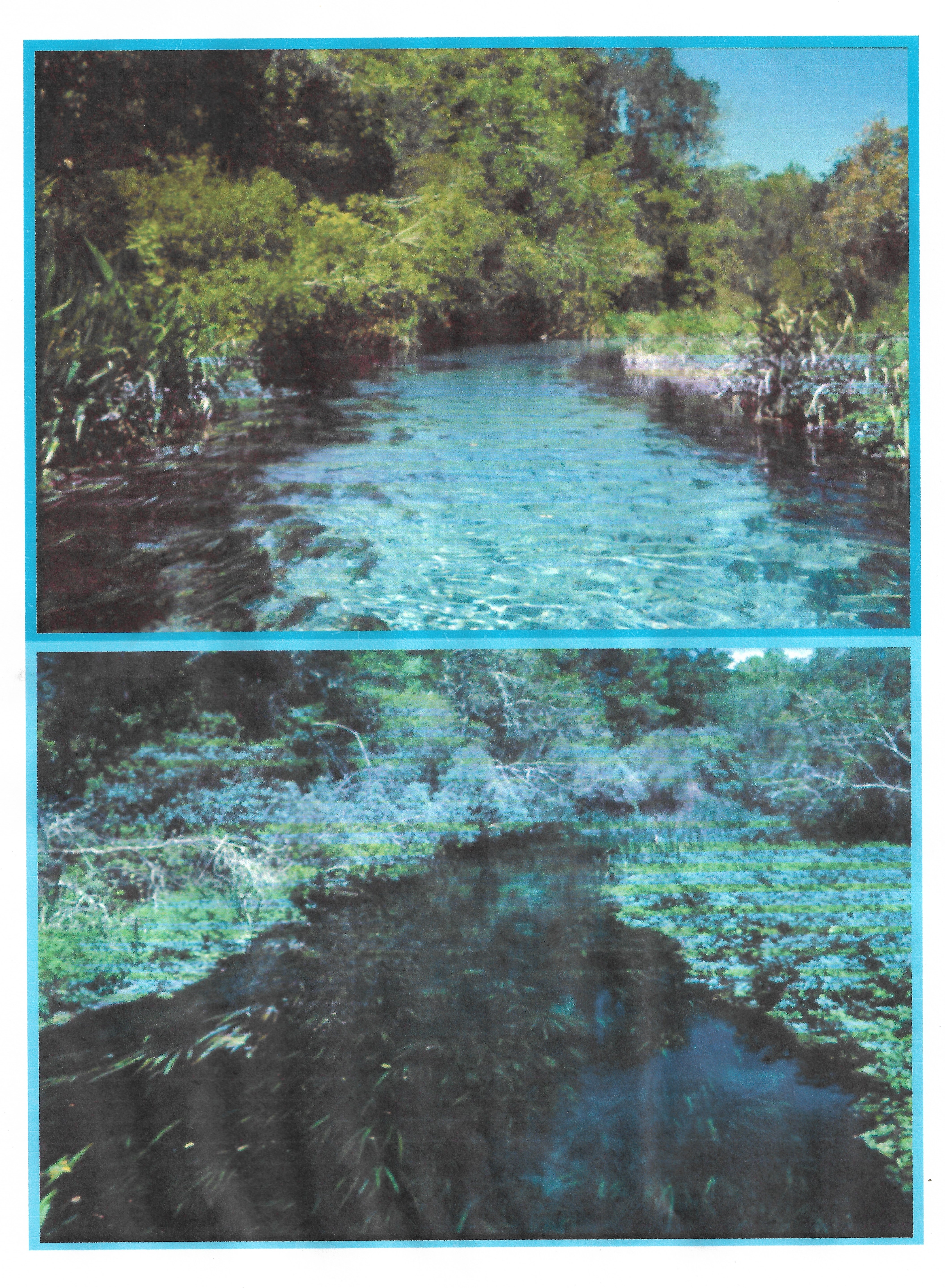 Two images of the Ichetucknee River showing river damage in the 1980s compared to the 1990s.