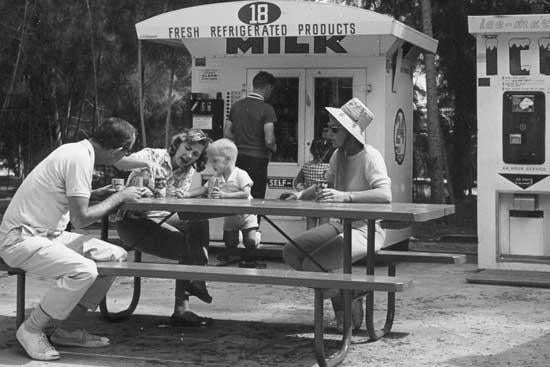 Pine Grove Campground at Jonathan Dickinson State Park