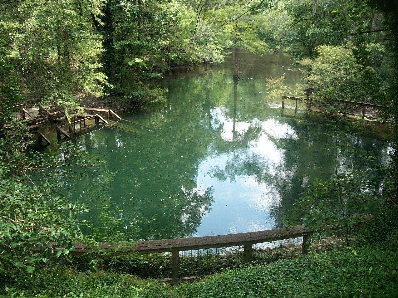 Madison Blue Spring flooded