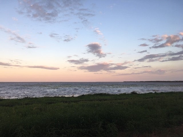 Pink skies and view of Lake Kissimmee from the shore