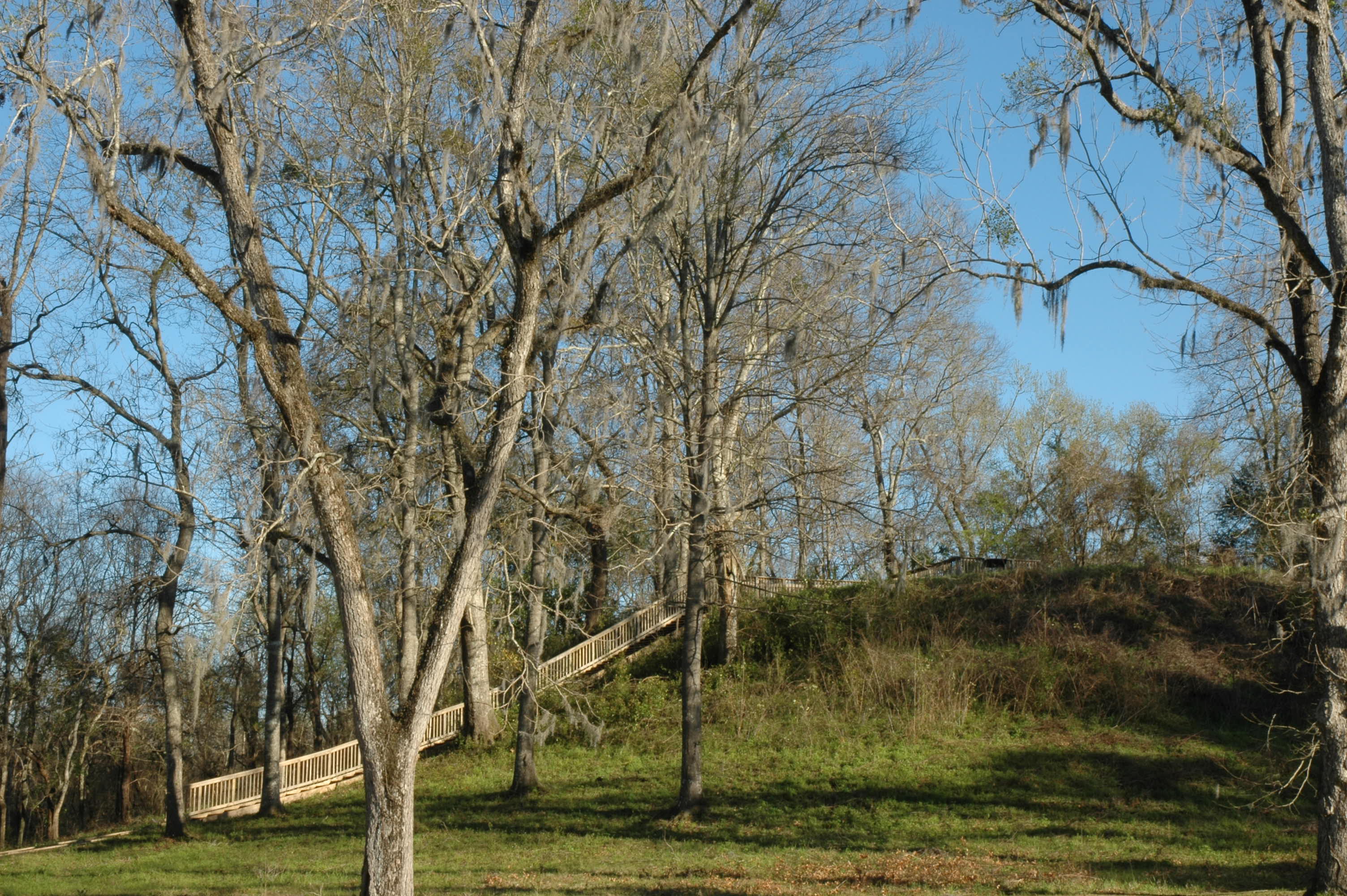 Lake Jackson Mounds