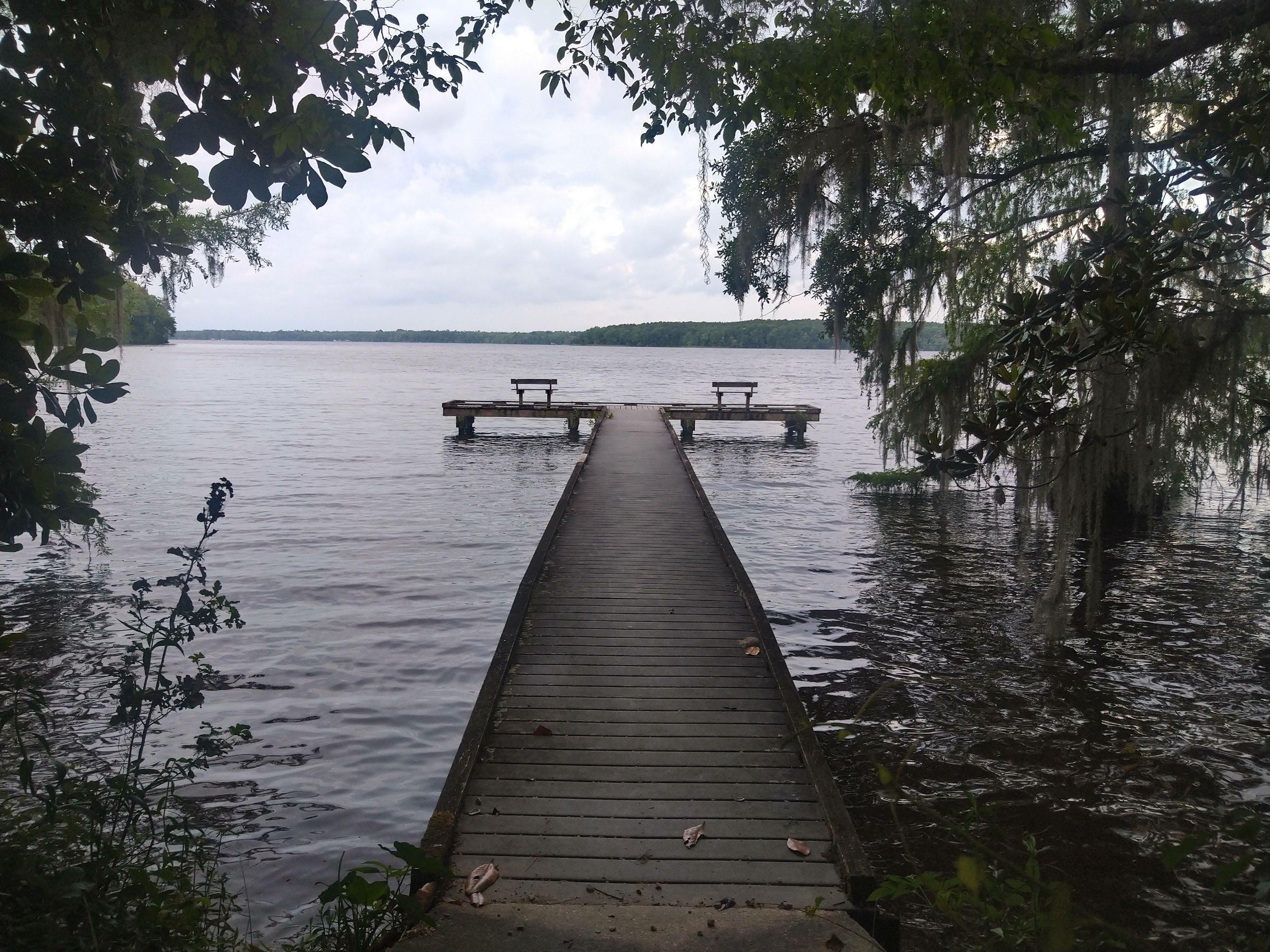 Dock extends out into Lake Talquin.  Two benches face out on the lake at the end of the dock. 