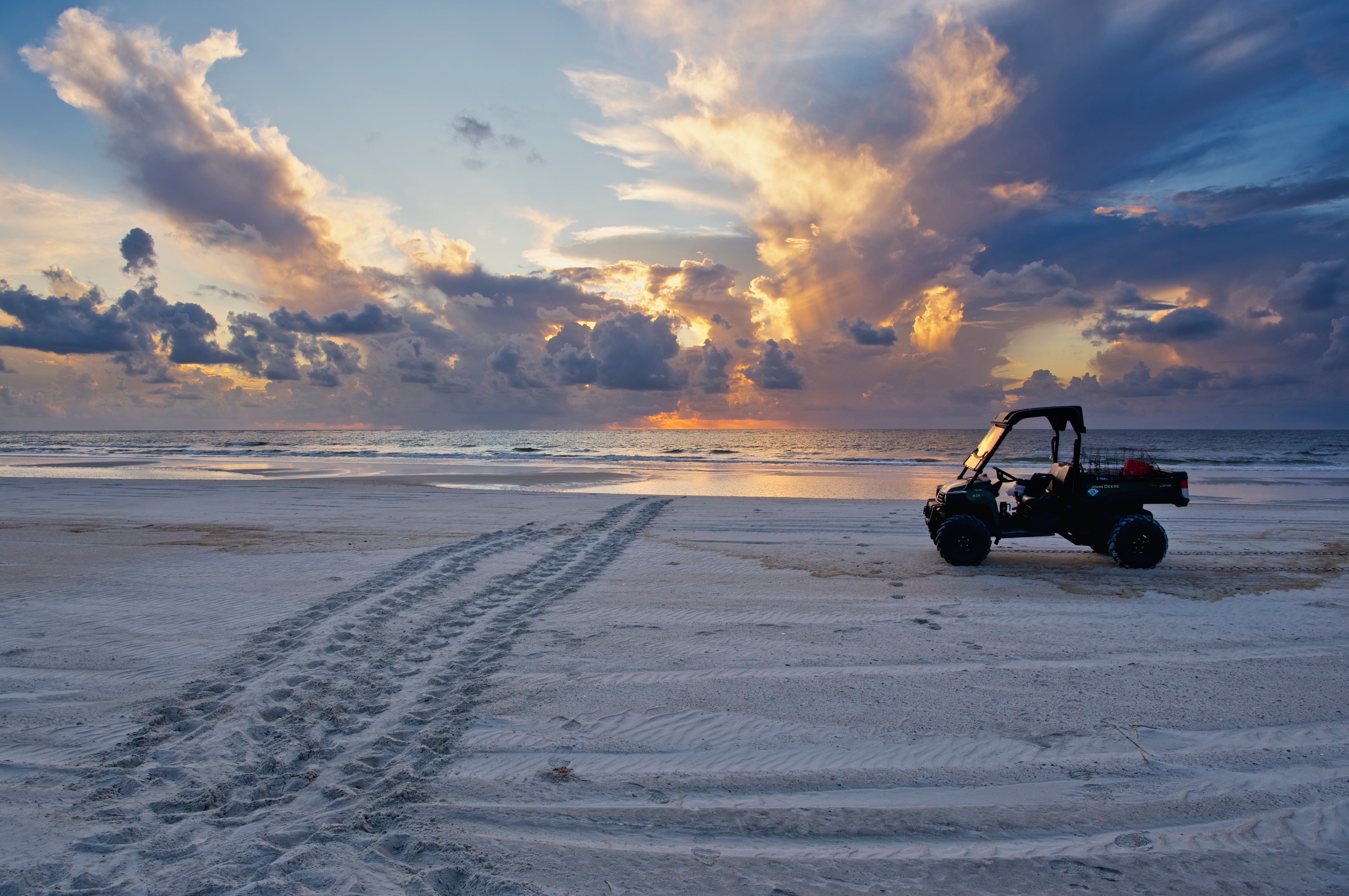 Loggerhead tracks found during an early morning survey at Little Talbot Island State Park. 