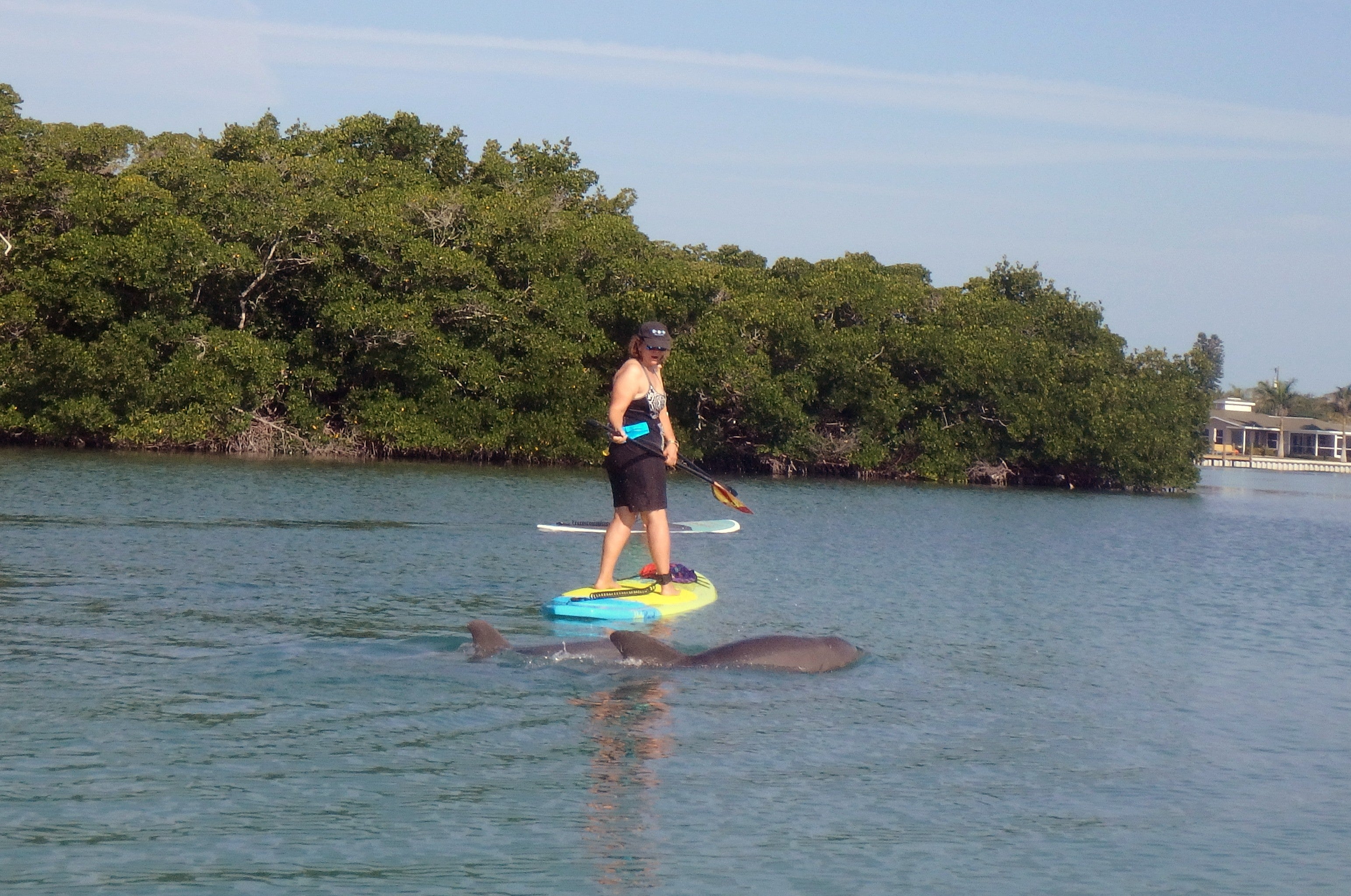 Paddler viewing Dolphin