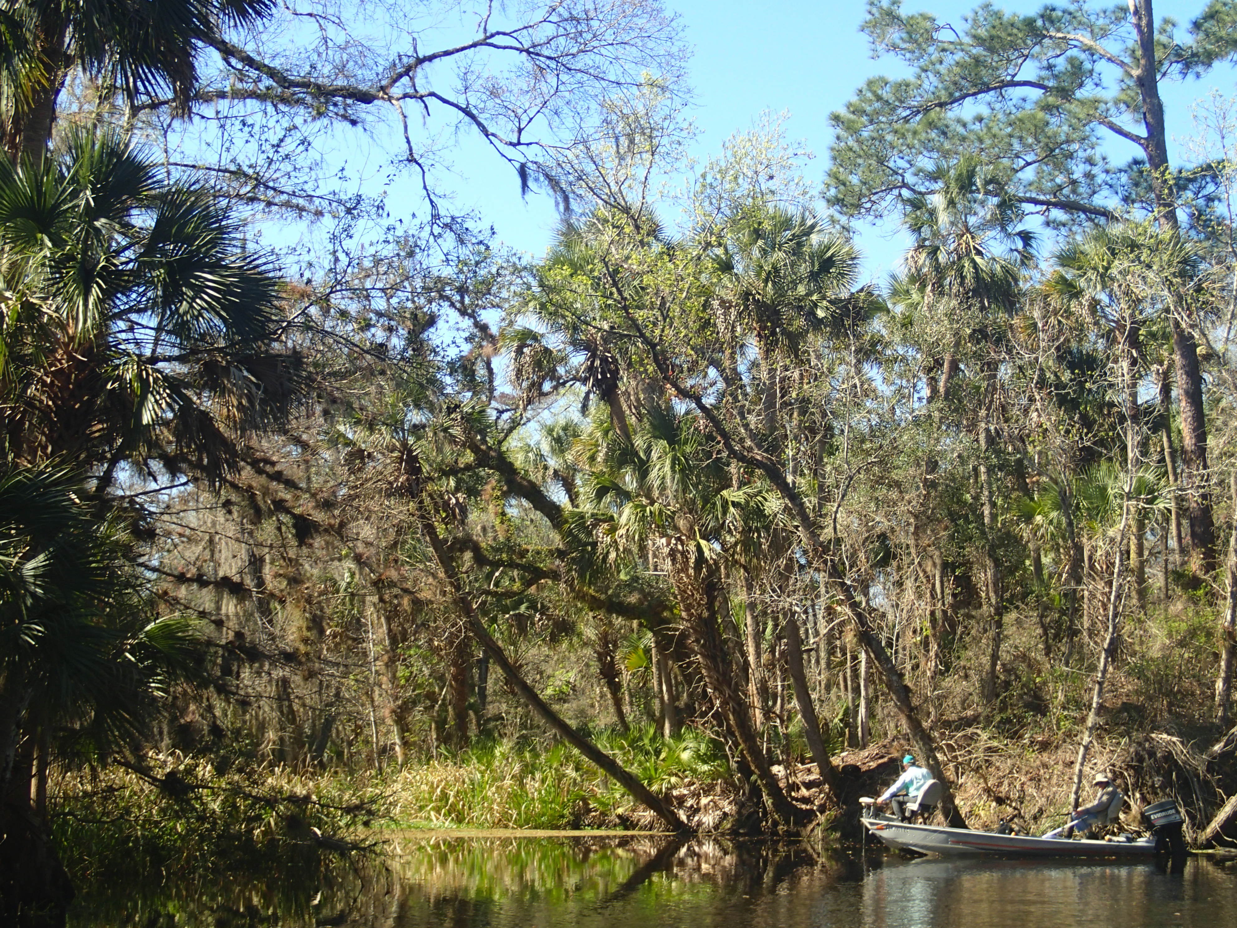 Haw Creek