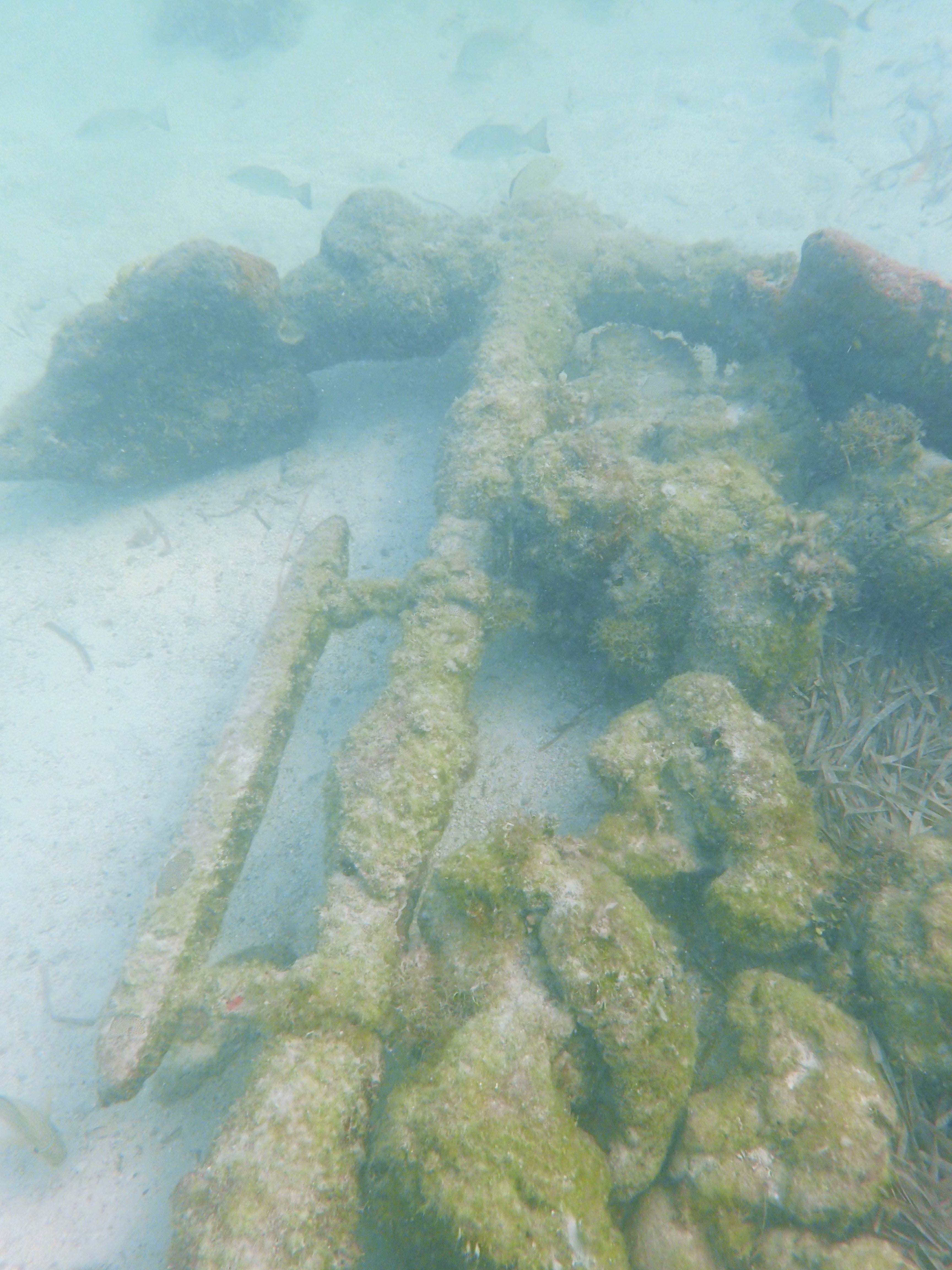 Anchor on the San Pedro