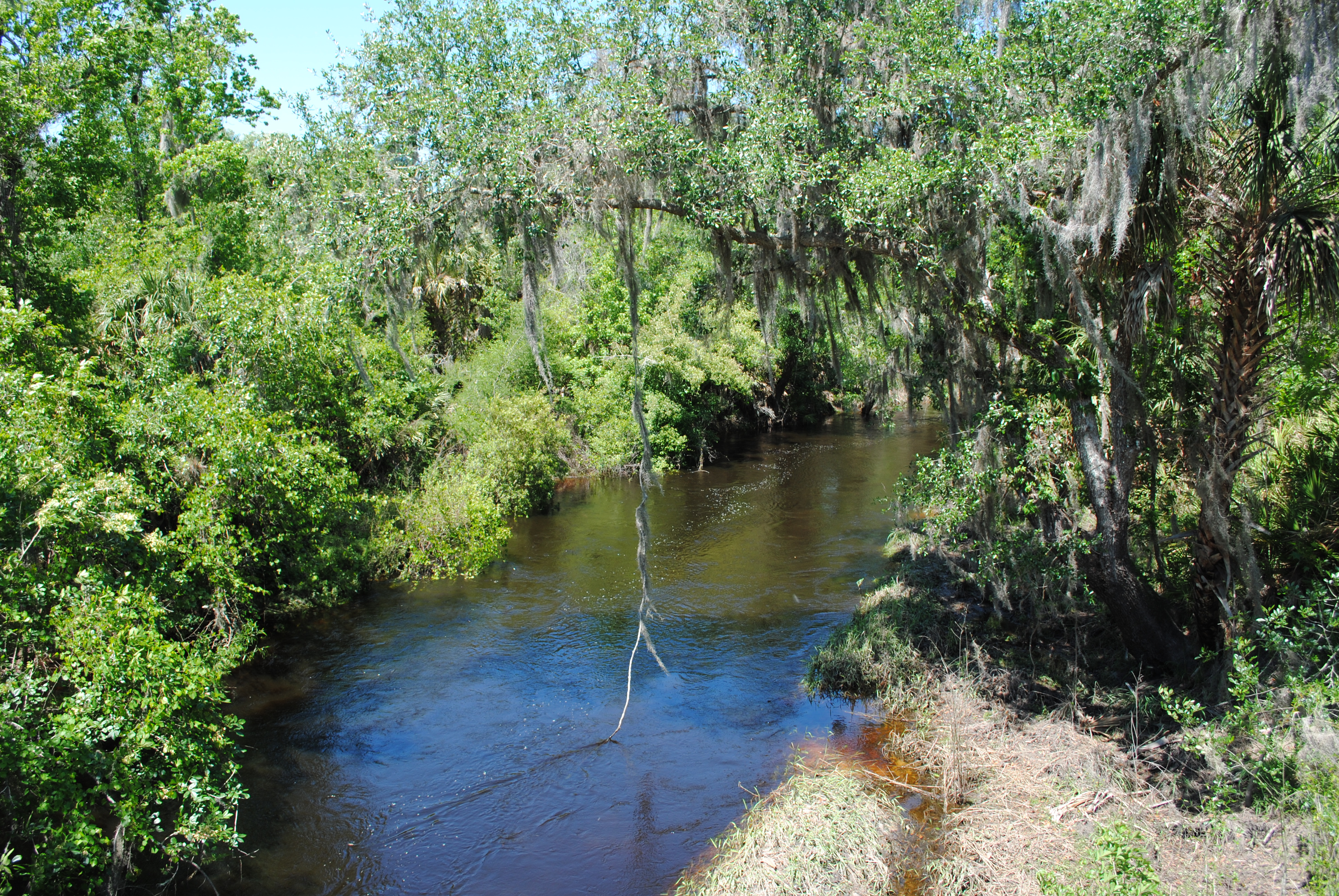 Paynes Creek River