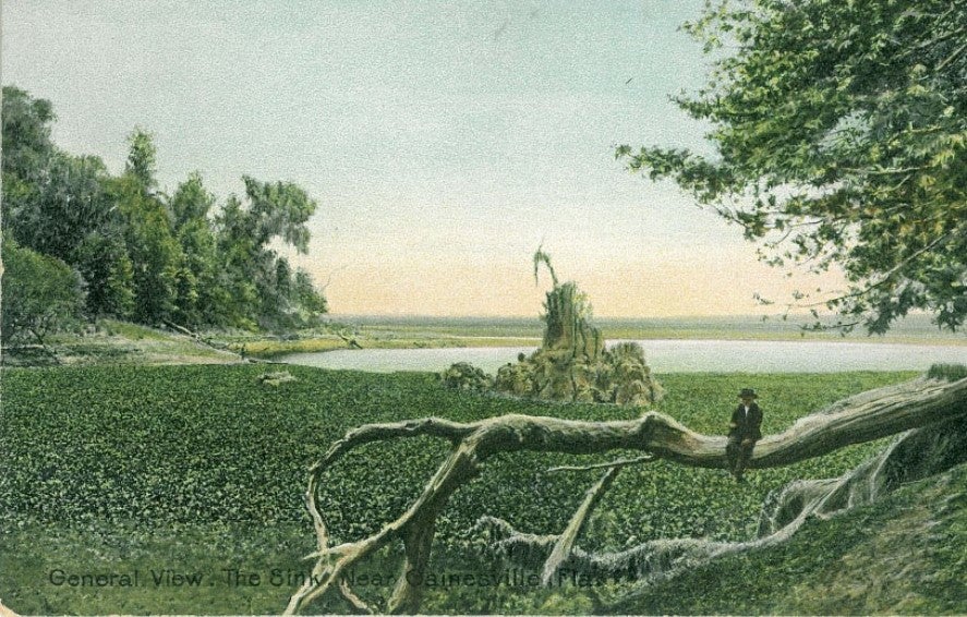 Postcard of La Chua Trail