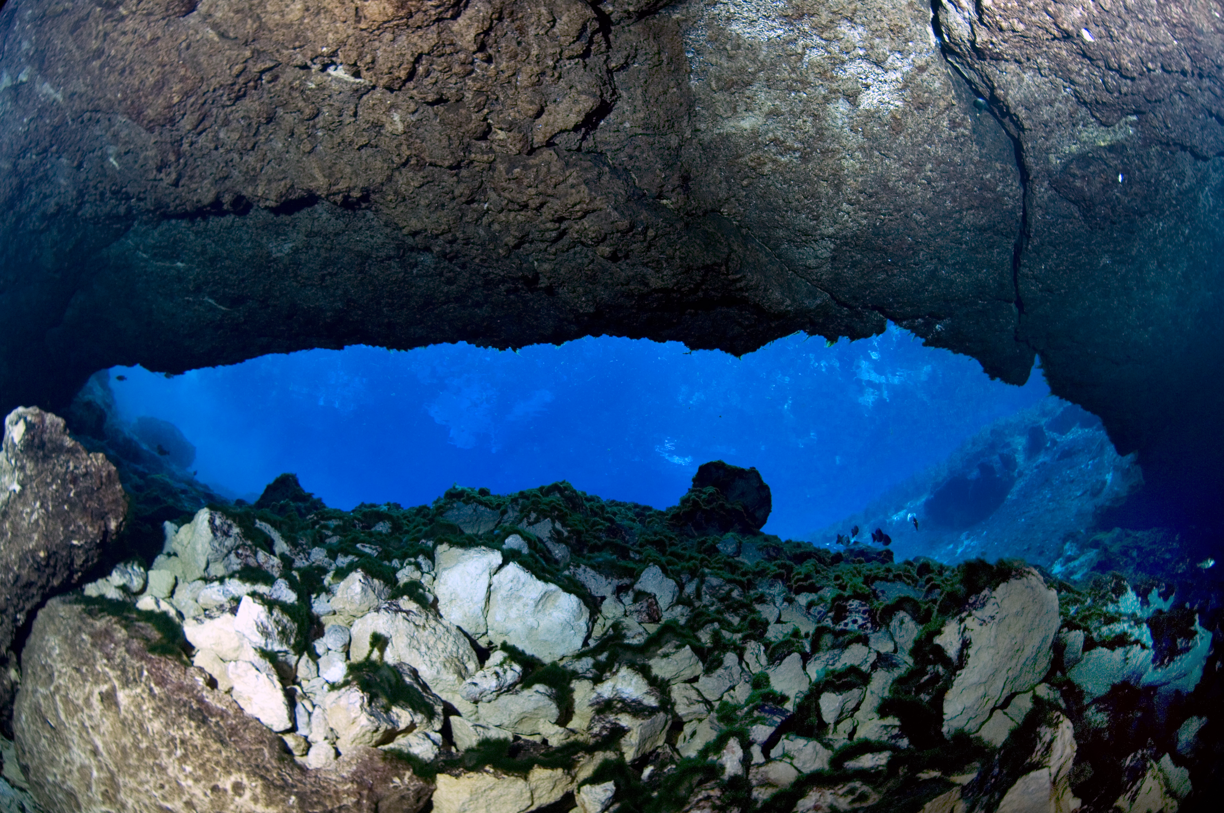 Ocala Limestone exposed in Mammoth Spring cavern
