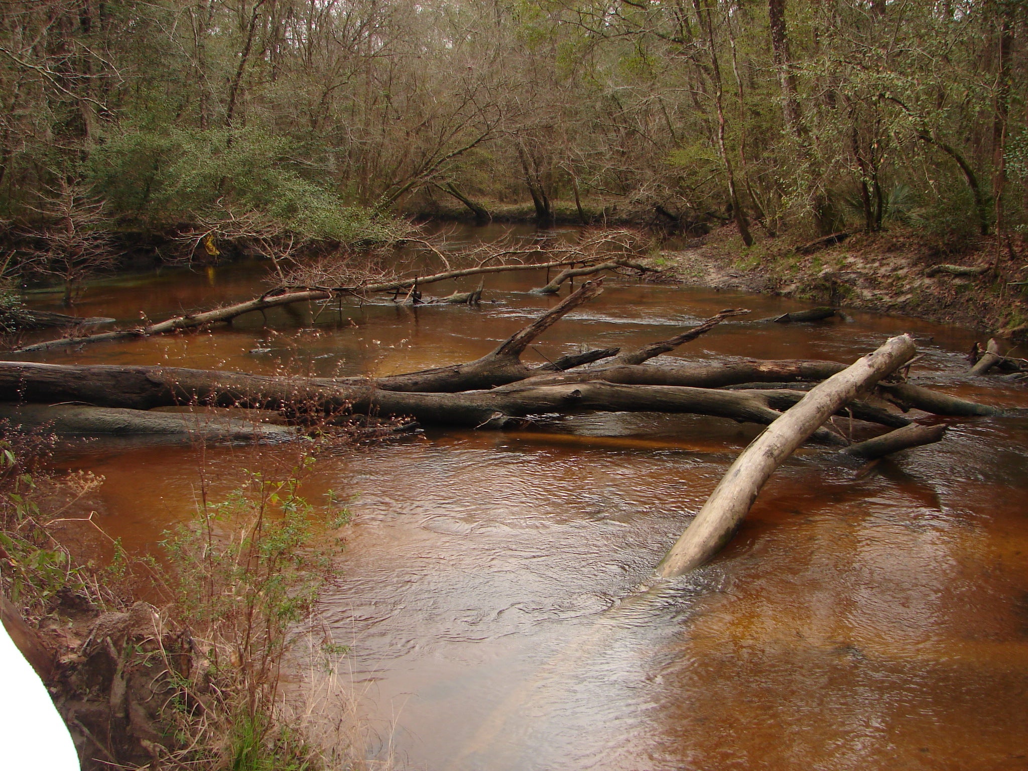 Ponce de Leon Sandy Creek