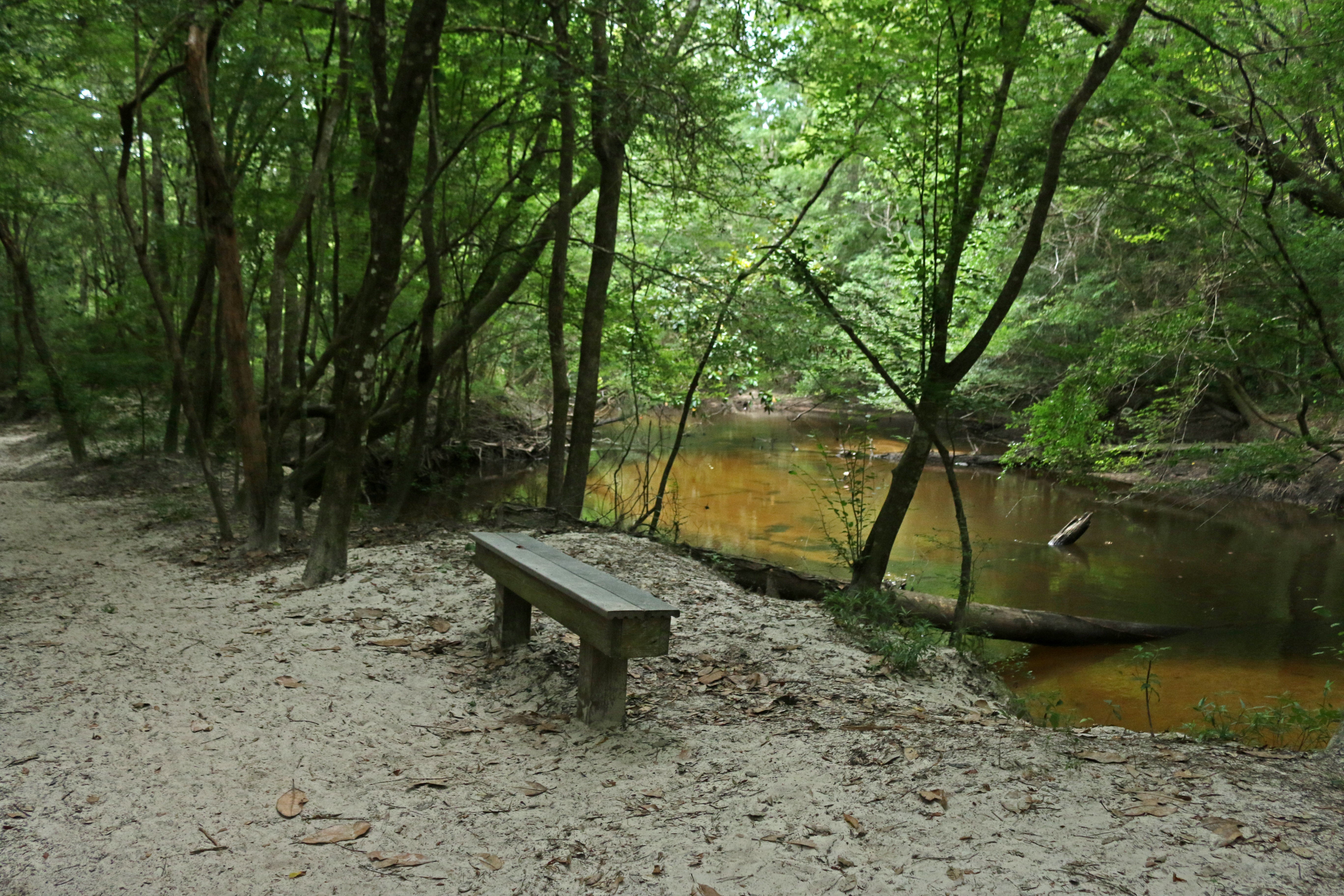 Ponce de Leon Creek