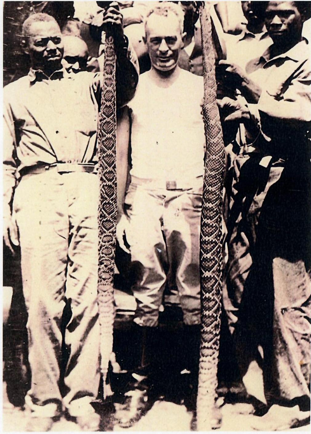 Men of the CCC hold killed rattlesnakes