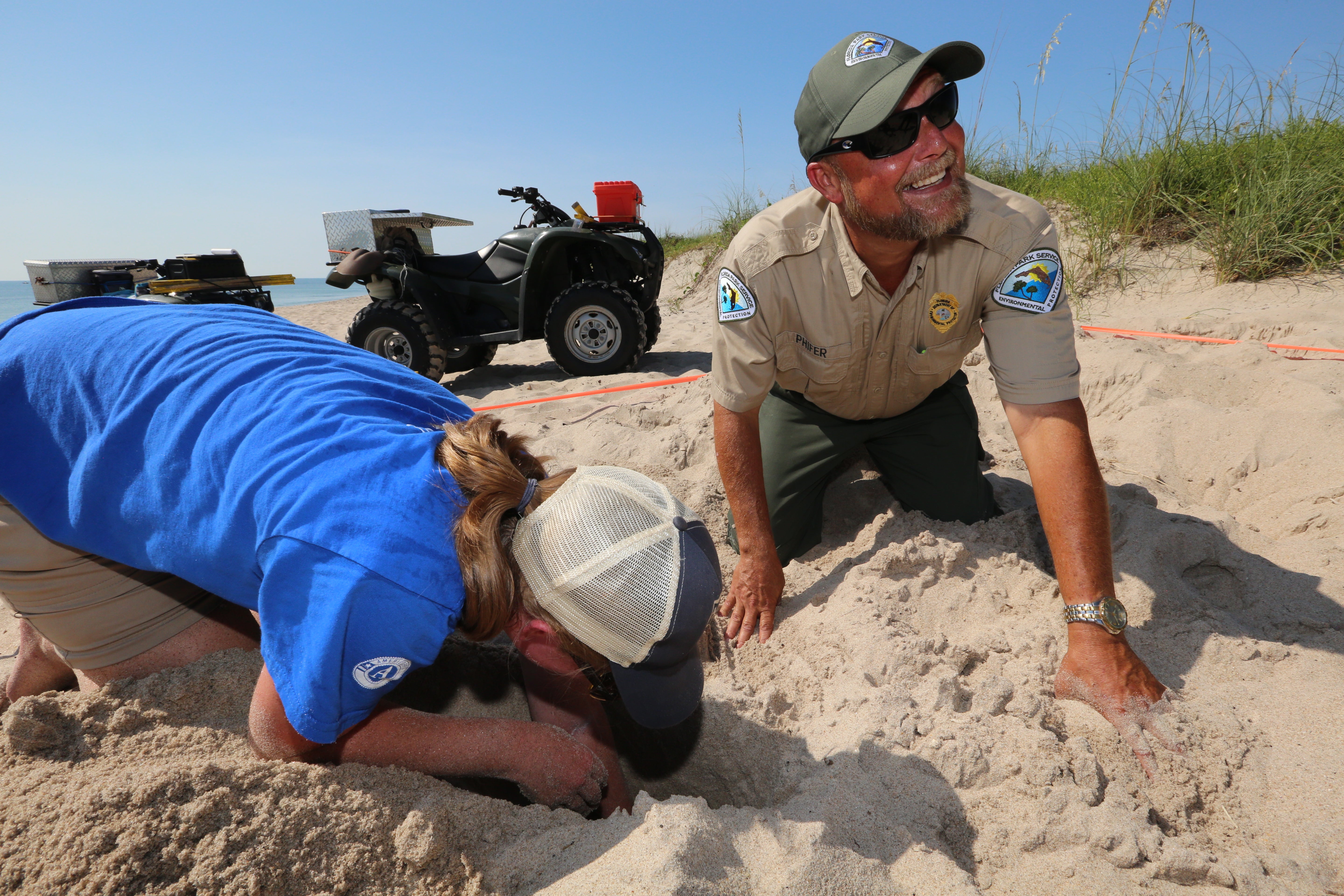 Looking for turtle nests