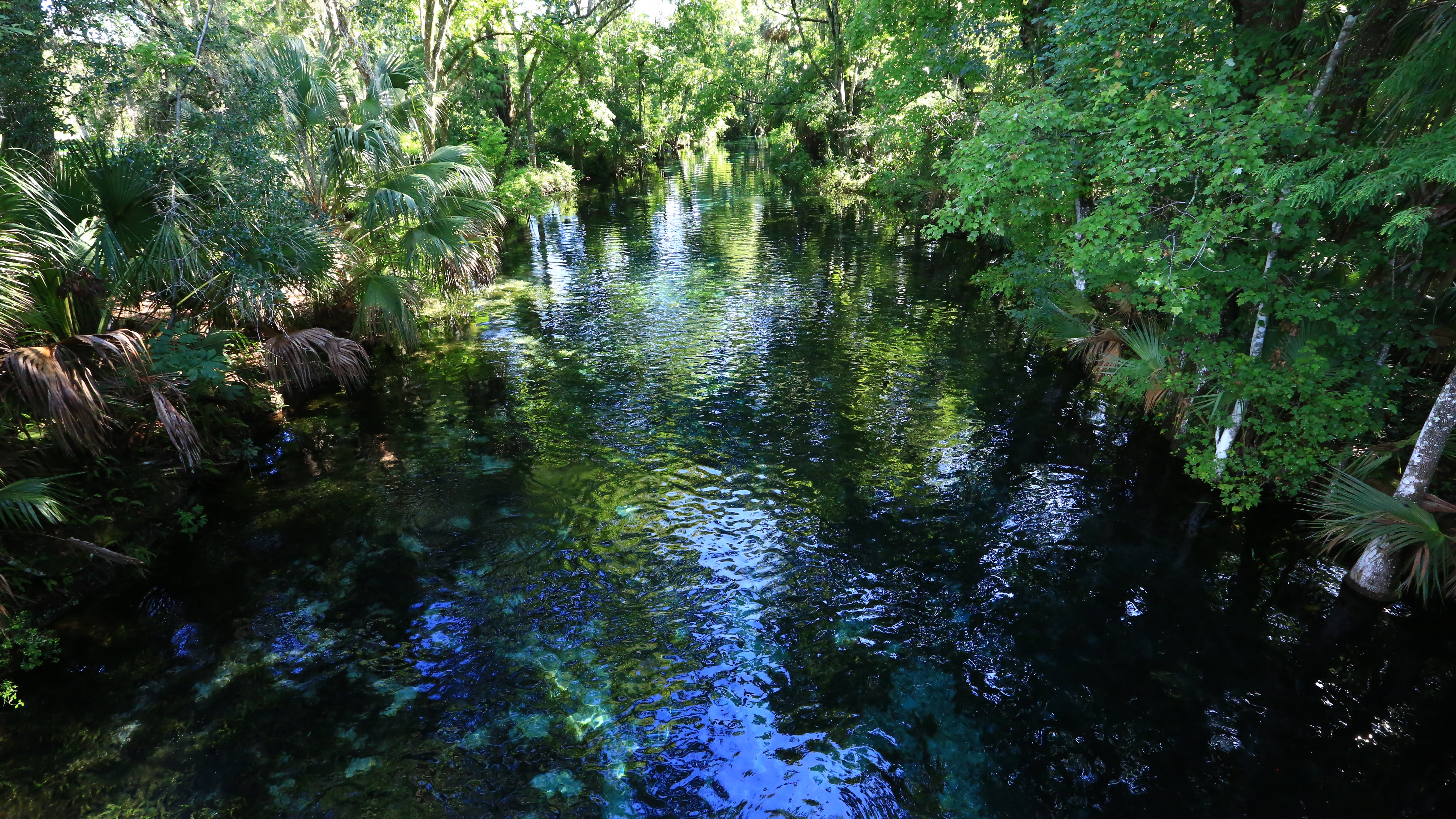 Scenic Spring run Beauty