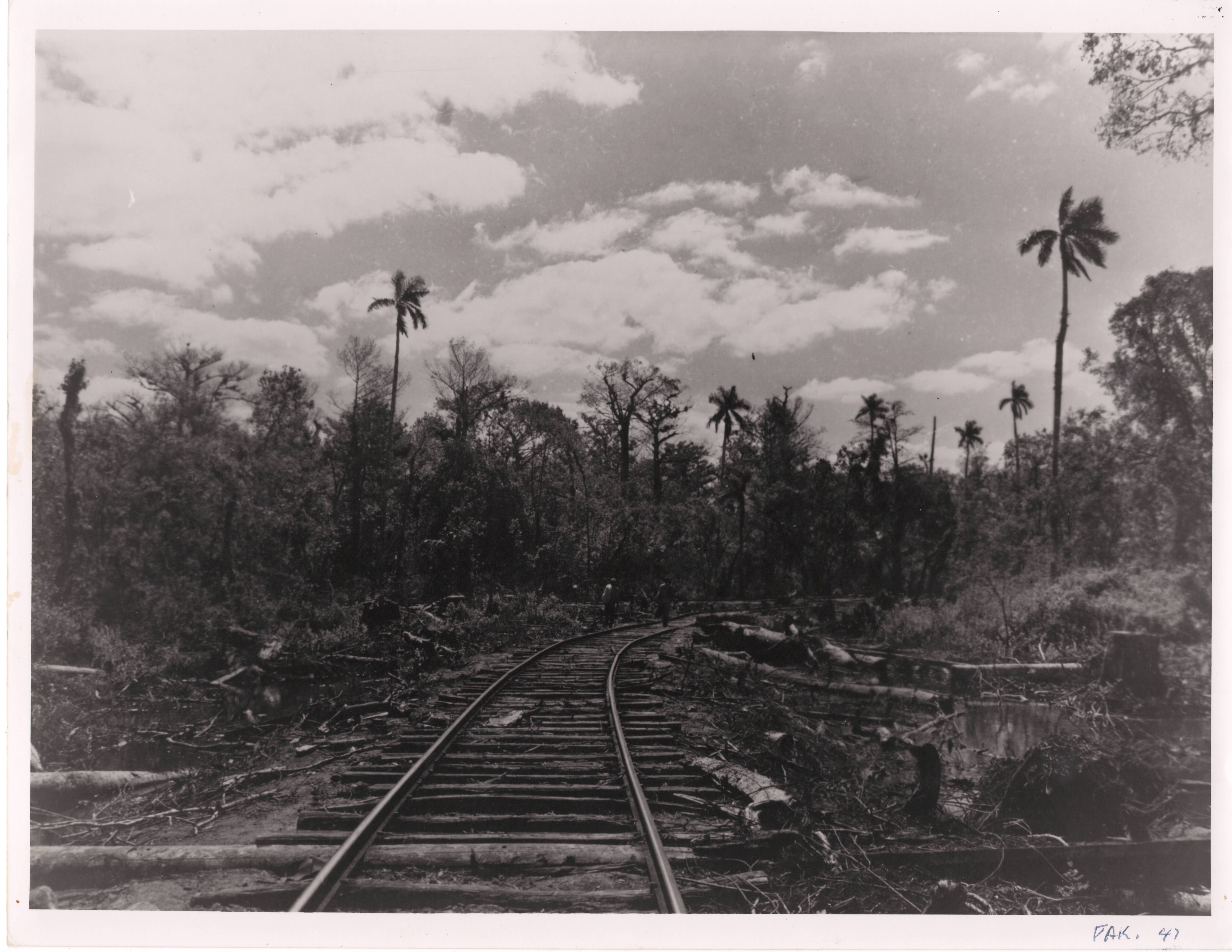 Railroad bed to transport timber, historic image in black and white