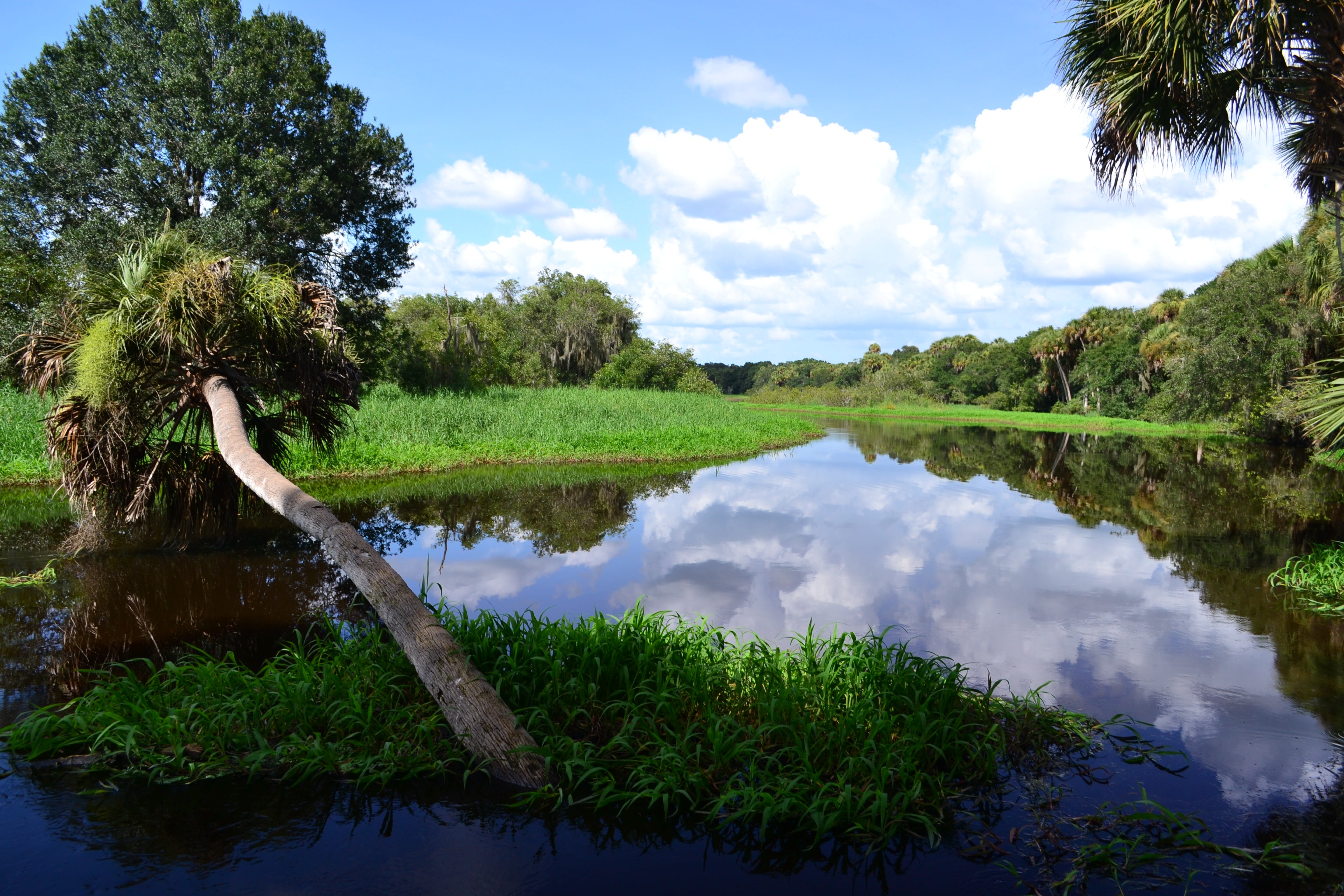 myakka river state park florida state parks