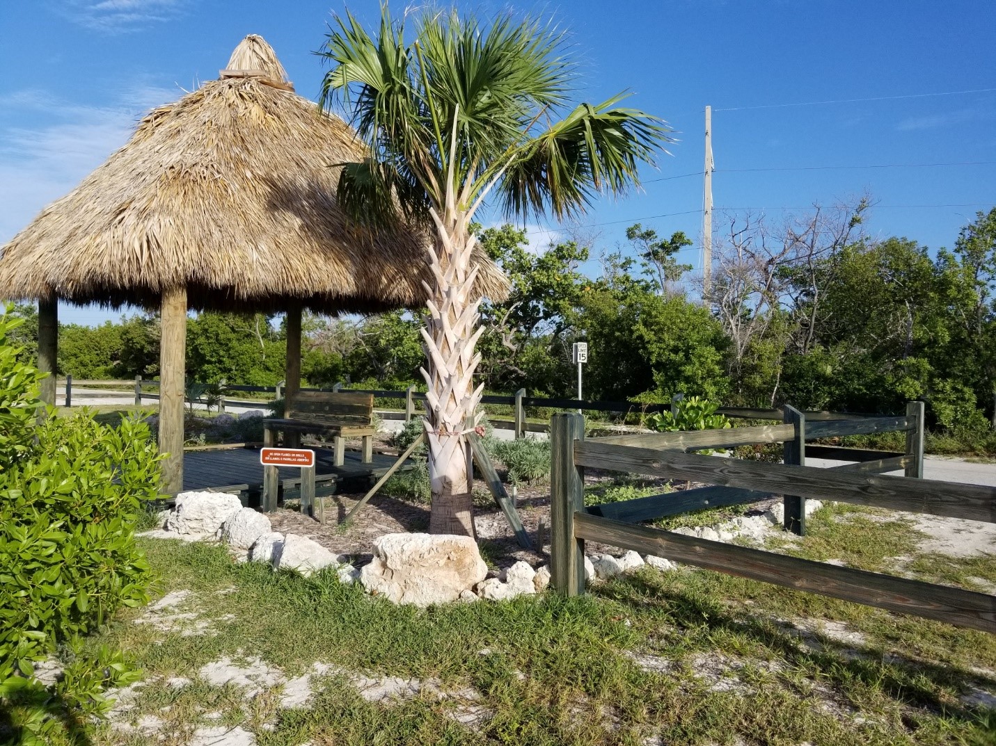 The picnic area of the park has been replanted. You can see a picnic shelter, a palm tree and fencing.