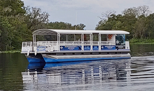 Cruise Boat