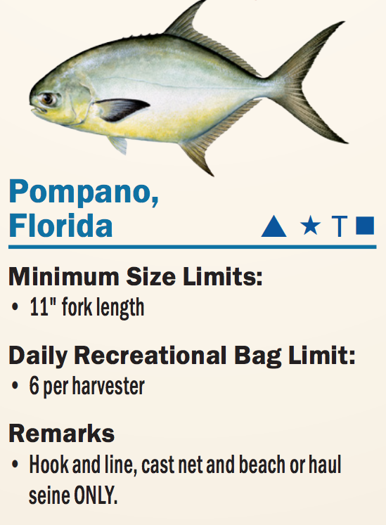 Fish Size Chart Florida