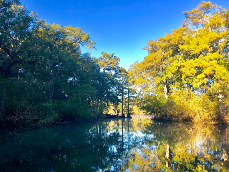 blue water reflects orange and green trees