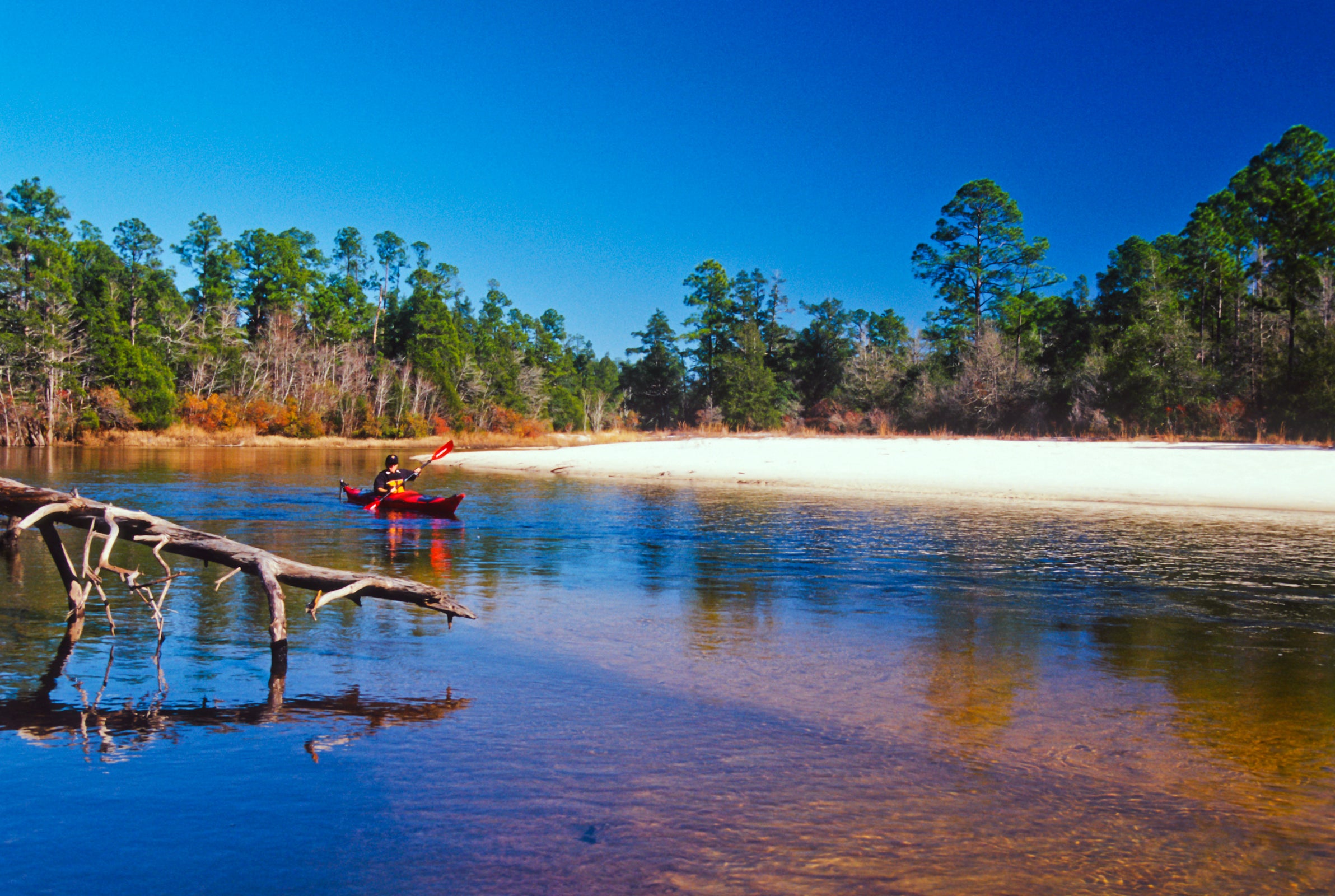 Blackwater River State Park  Florida State Parks