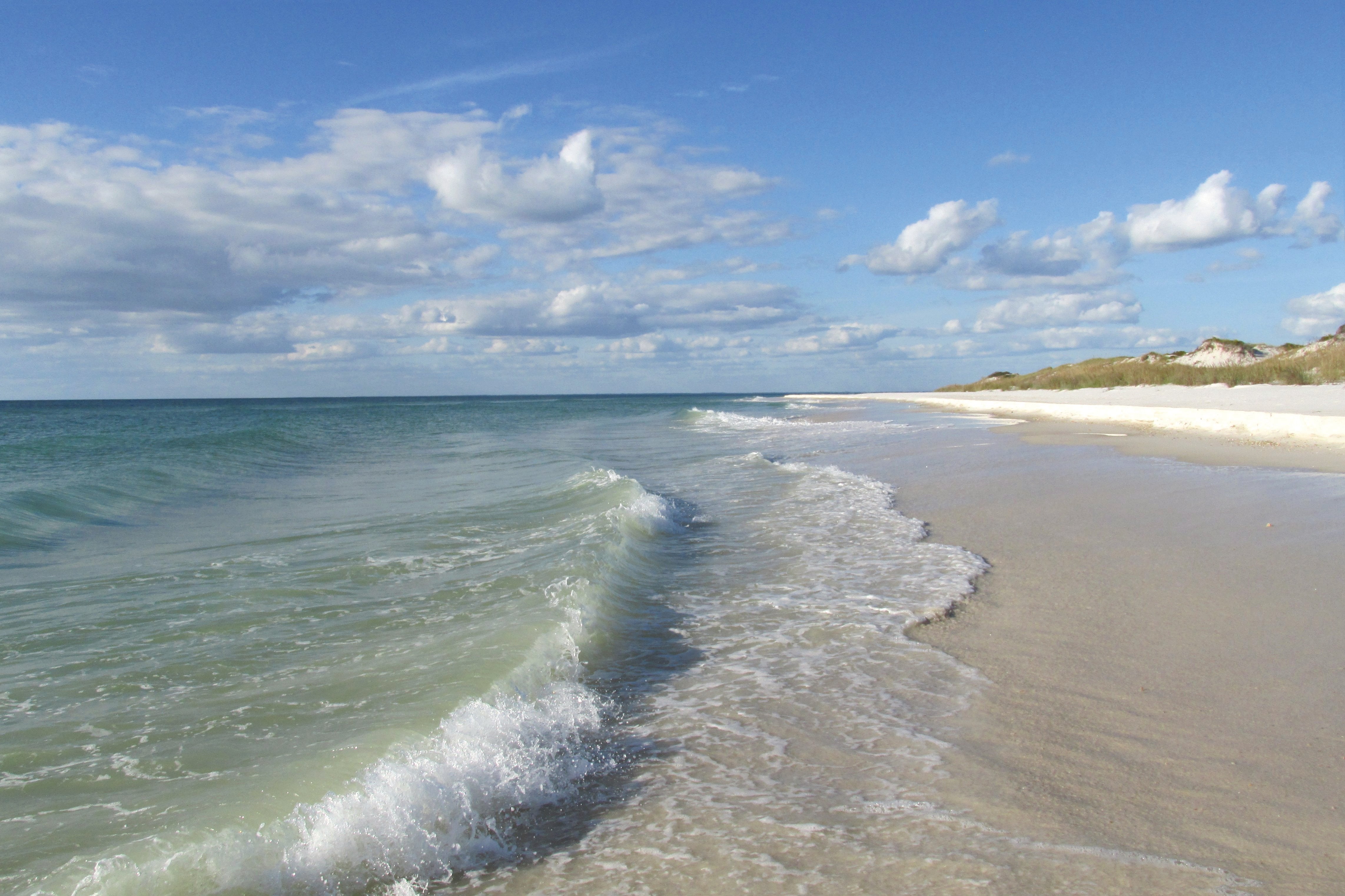 www.floridastateparks.org