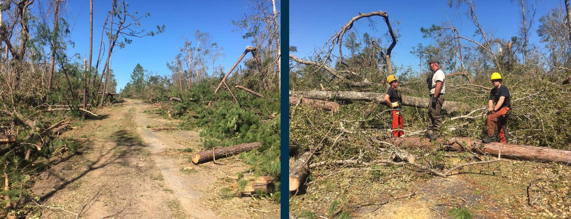 Three Rivers Strike Team Cleanup