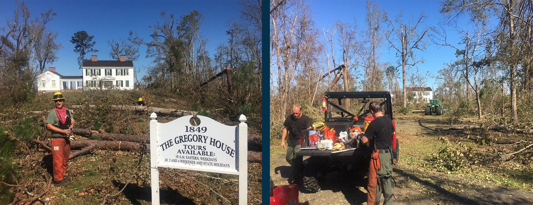 Torreya Storm Recovery