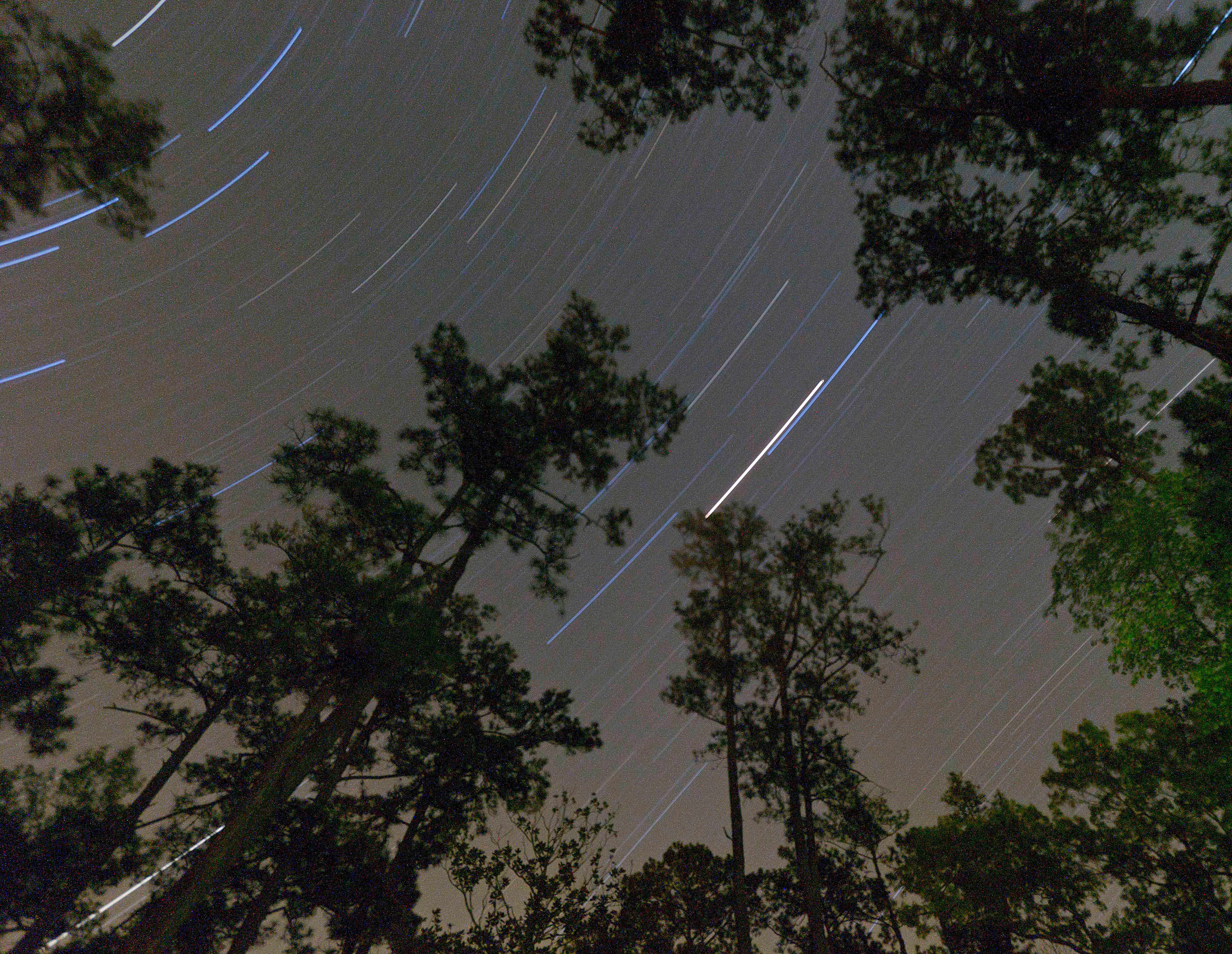Torreya State Park Stargazing