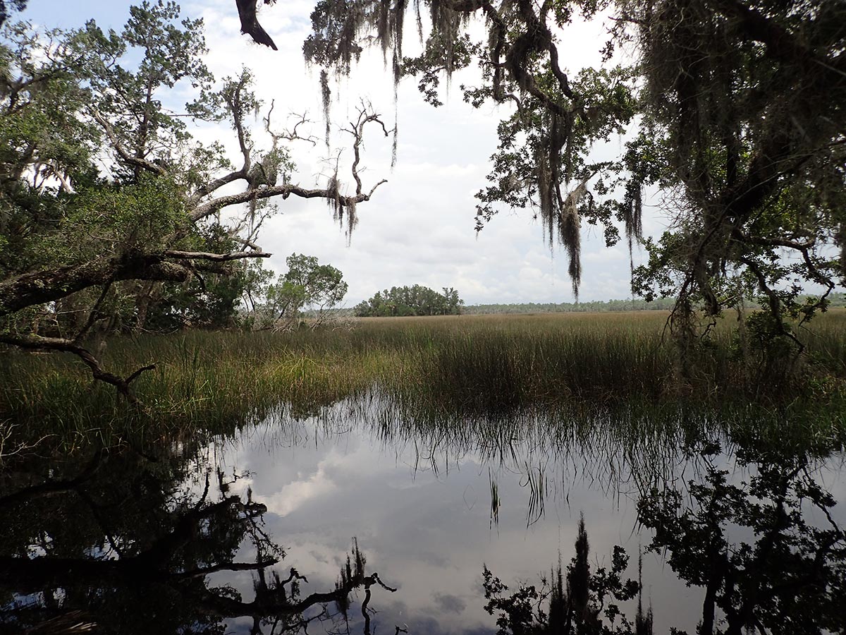 Waccasassa River and Salt Marsh Florida State Parks