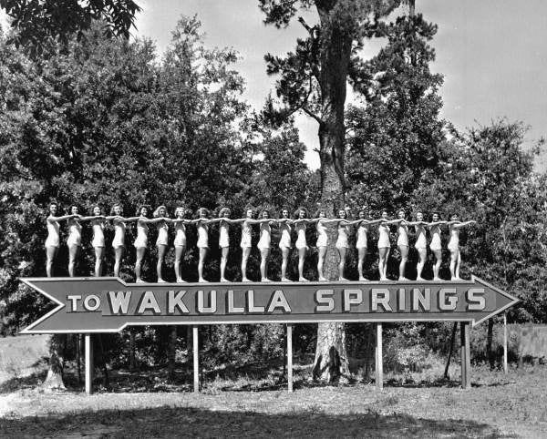 To Wakulla Springs