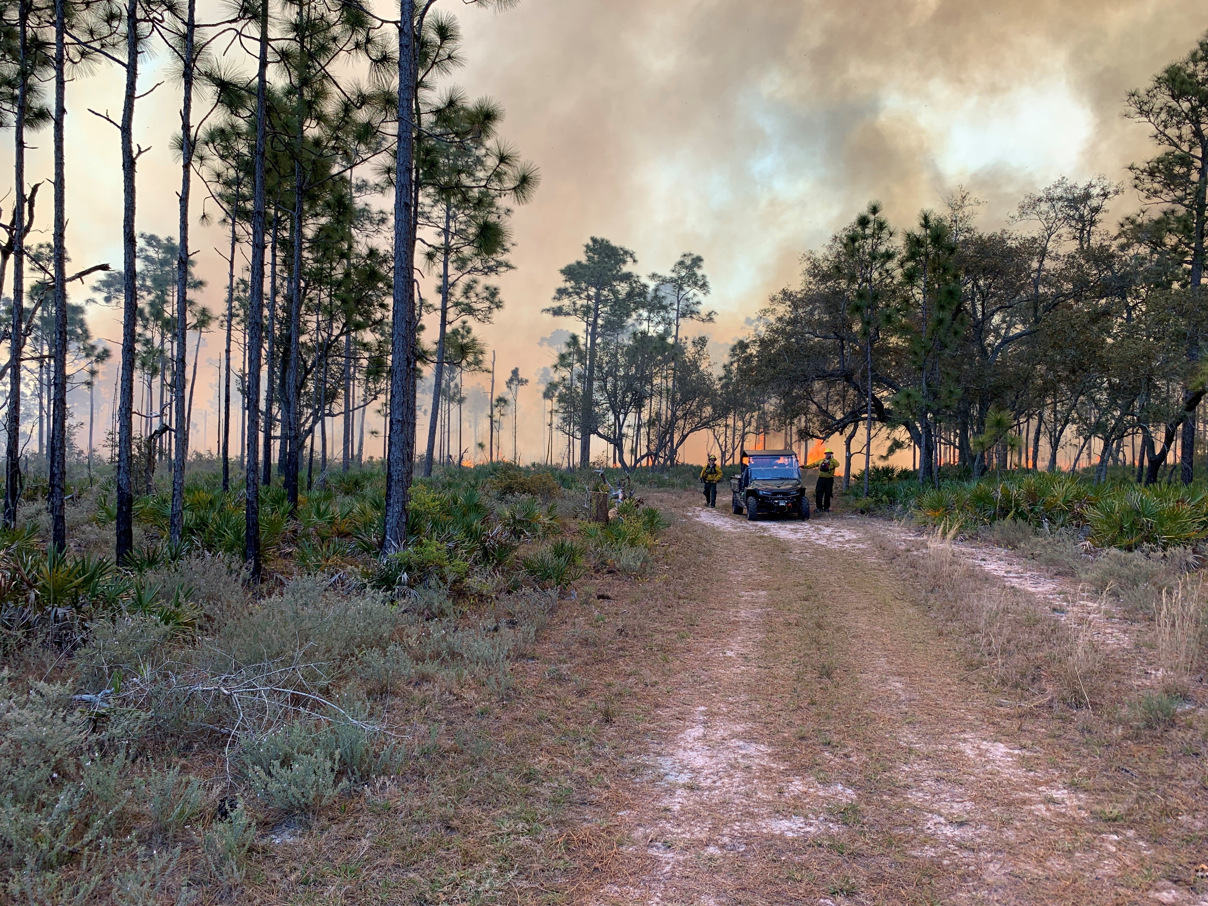 Prescribed Fire Windshift