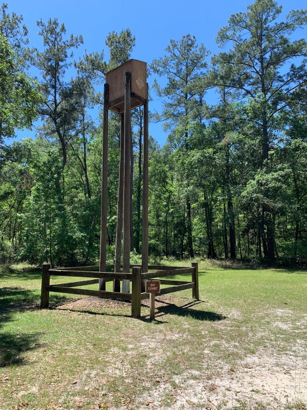 a tall and thin wooden structure labelled bat house