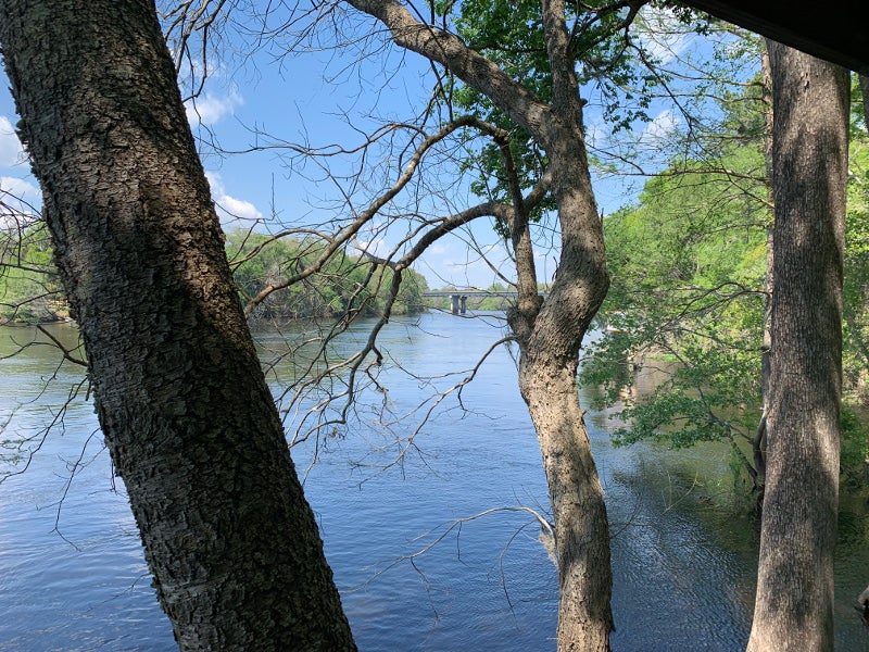 a bridge crosses a river in the distance between two trees