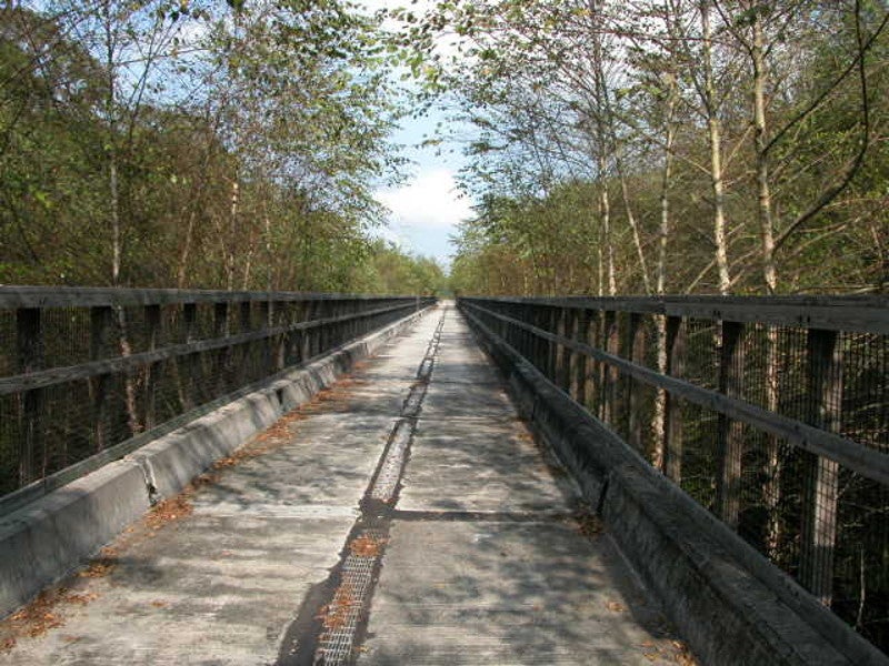 a concrete and steel bridge path extends forward between trees