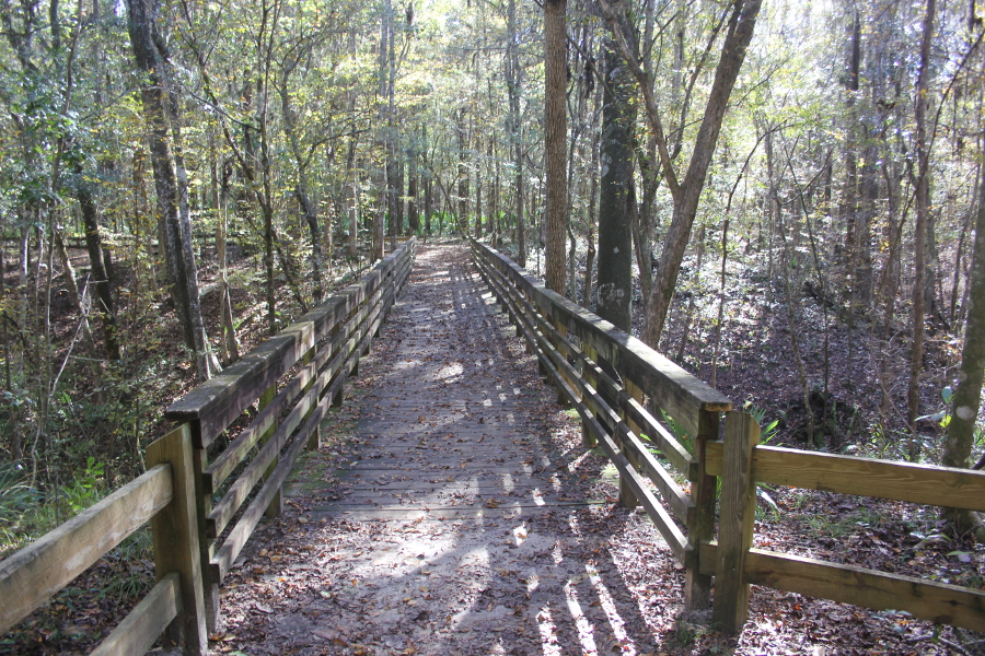 Image of a bridge in fall along the Devil's Millhopper Nature Trail.