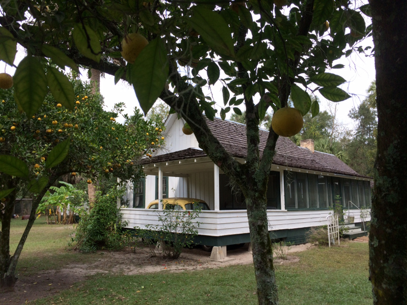a yellow car is barely visible in the carport of a green and yellow house, surrounded by orange trees
