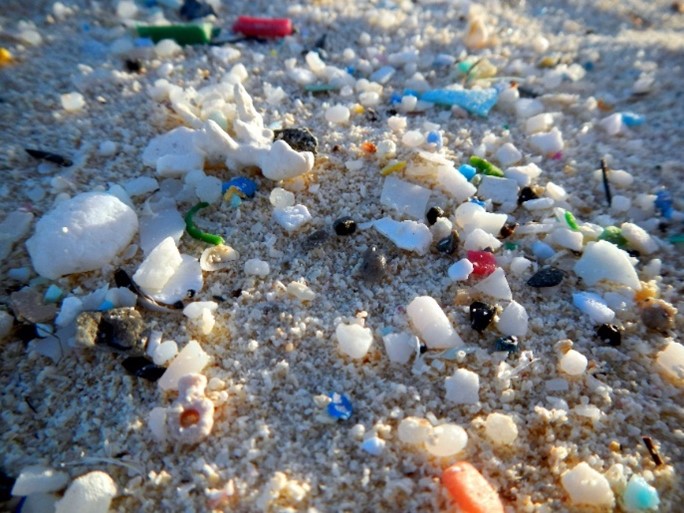 NOAA: Litter in the sand