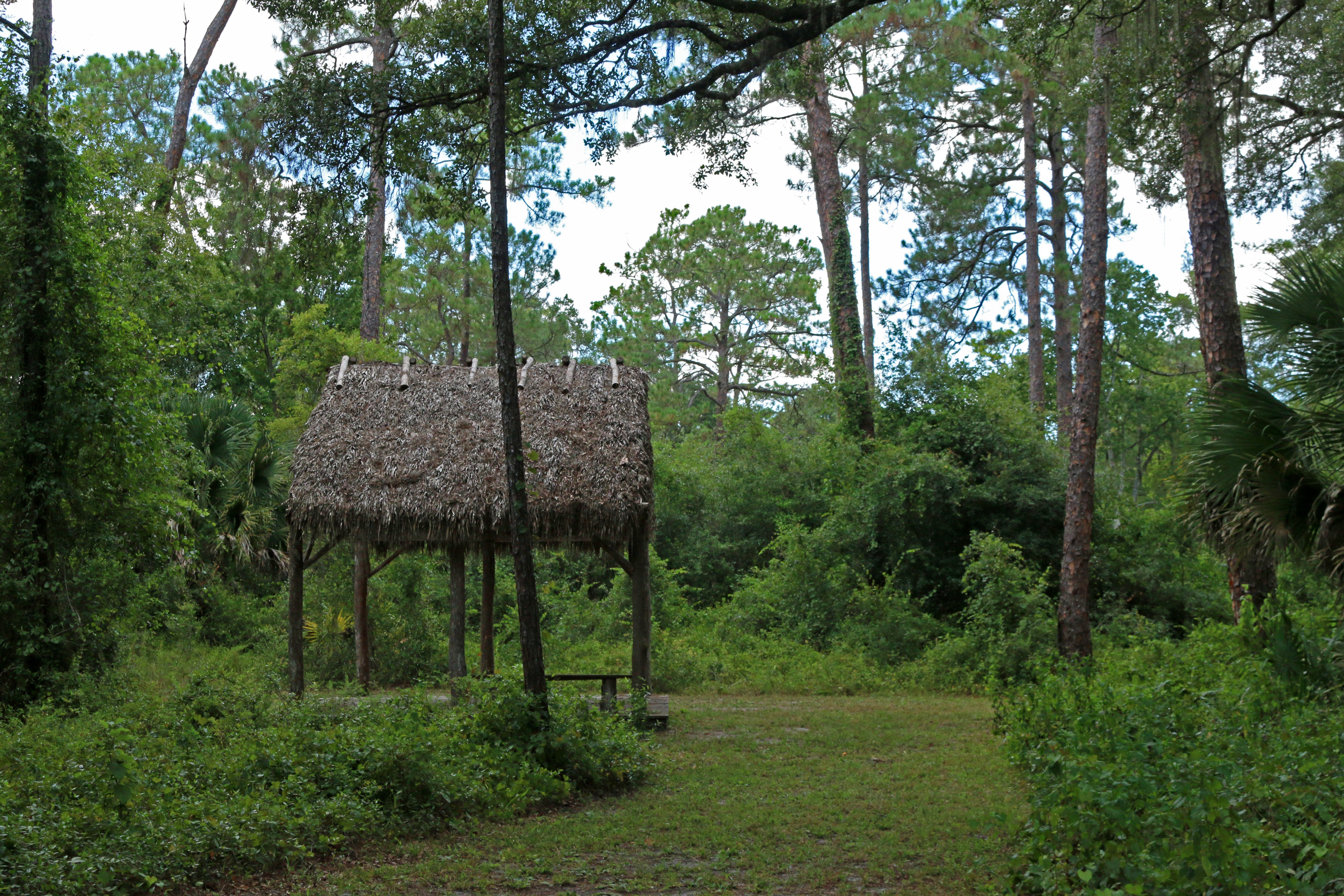 Trail at Dade Battlefield