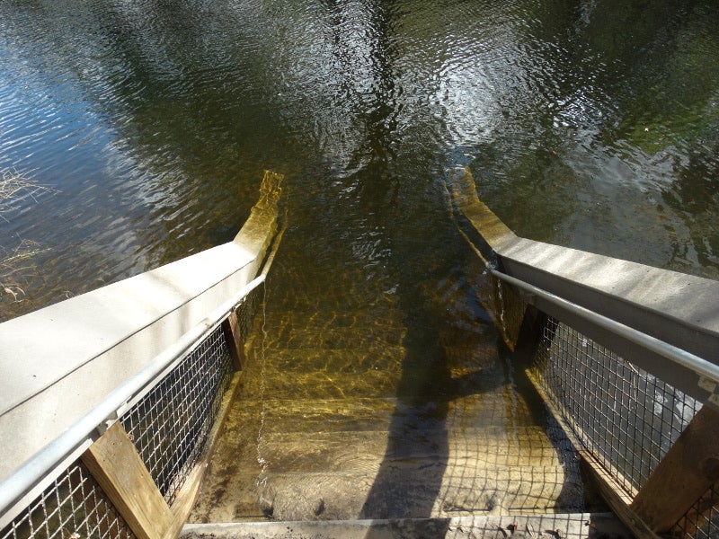 steps descend down into the water of a spring.