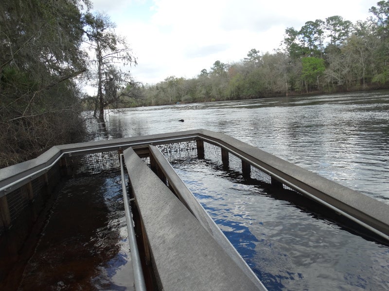 a boardwalk ramp submerged in flood water of the Suwannee River.