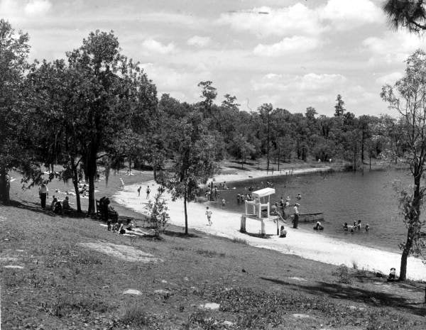 View of the lakeshore at Mike Roess Gold Head Branch State Park