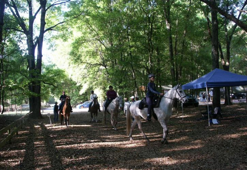 four people ride horses past tents in a wooded area
