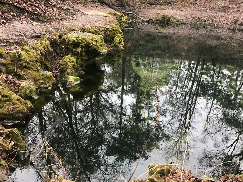 a sinkhole filled with water, edged by green limestone rock