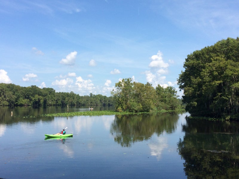 a green kayak is paddled along a river lined with green trees