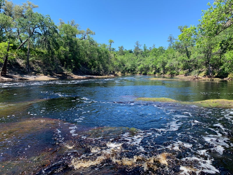 small rapids occur in a river lined by trees