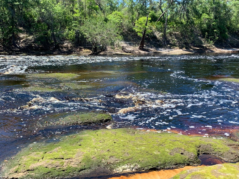 water rushes over a shallow area in a river