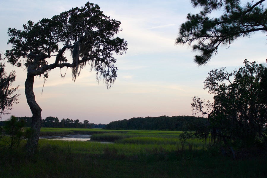 Image of a creek and trees draped in Spanish moss at twilight in Little Talbot Island State Park.